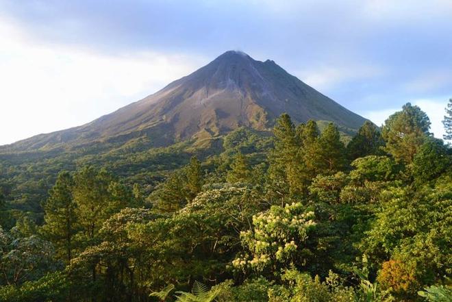 Arenal Hanging Bridges and Tabacon Hot Springs Day Tour from San Jose