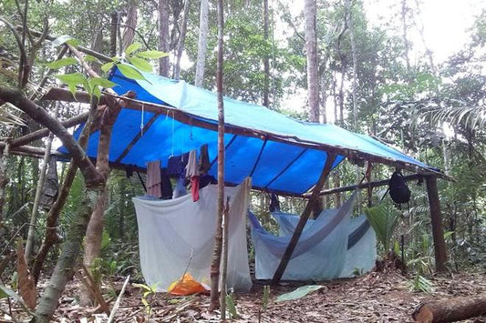 Amazon Adventure: 4-Day, 3-Night Survival Tour