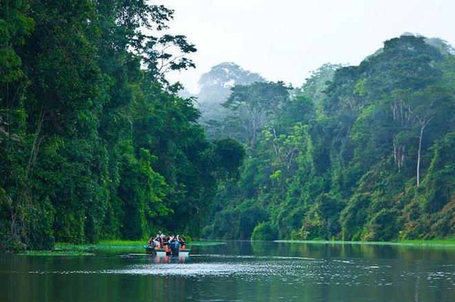 8-Day Costa Rican Adventure: From San Jose to Tortuguero and Cahuita Exploration