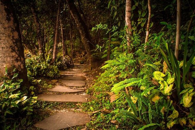 Buddhist Temple Visit and Embu das Artes Exploration - 6-Hour Tour Featuring Art Galleries & Artisan Shops