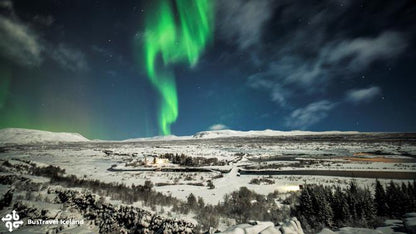 Reykjavik Northern Lights Adventure: Guided Bus Tour