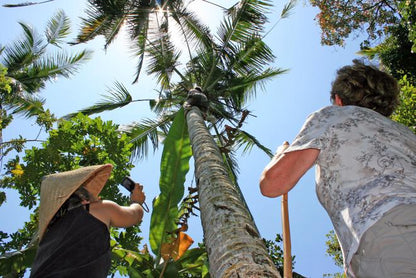 Day in the Life of a Balinese: Cultural Immersion Experience