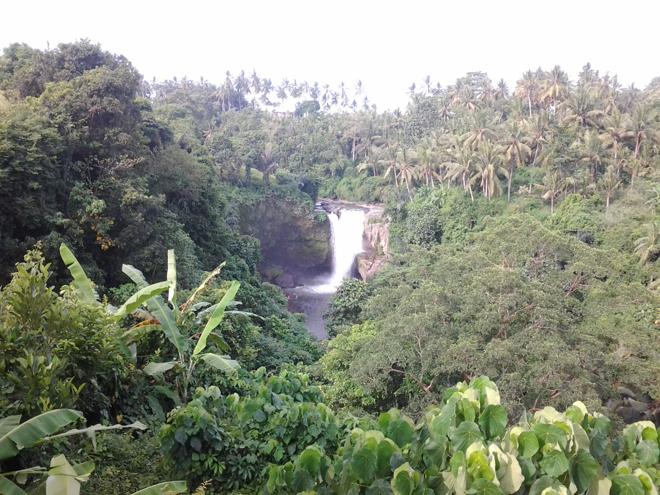 Ubud Temple and Waterfall Tour: Discover Bali's Spiritual and Natural Wonders