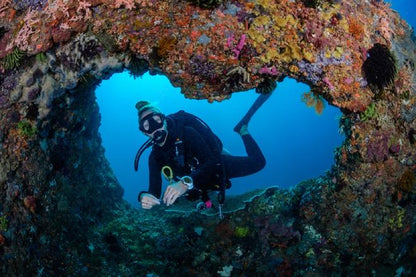 Shipwreck and Coral Garden Dive Adventure for Certified Divers in Tulamben