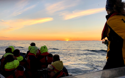 Midnight Sun Whale Watching Adventure in Akureyri