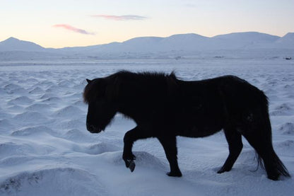 Iceland Northern Lights Odyssey: 5-Day Adventure