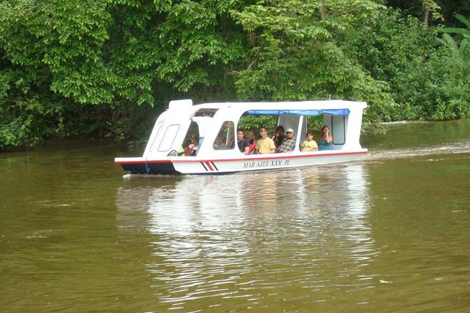 Tortuguero Canal and Cahuita National Park: A Nature and History Shore Excursion