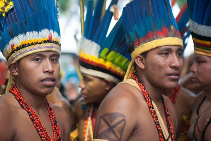 Private Itaguare Beach Tour and Indigenous Tribe Experience from Santos