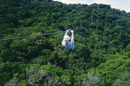 San Jose to Monteverde Cloud Forest and Sky Adventure Park: A Full-Day Excursion