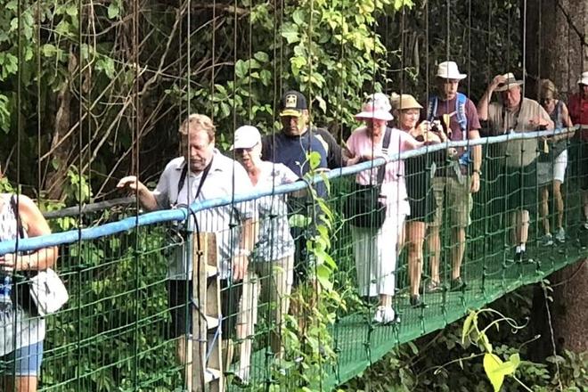 Arenal Volcano Adventure: Private Tour of Hanging Bridges and Baldi Hot Springs from San Jose