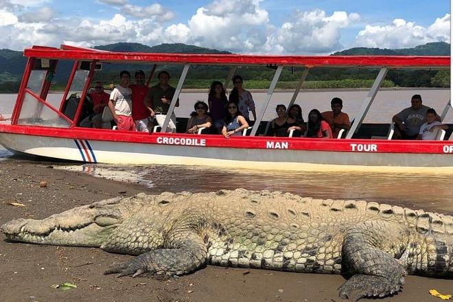 Puntarenas Coastal Adventure: Jungle and River Wagon Expedition