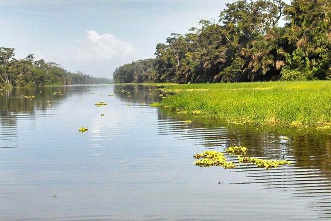 Three-Day Tortuguero National Park Adventure with Complimentary Pickup