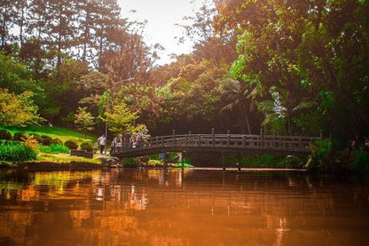 Buddhist Temple Visit and Embu das Artes Exploration - 6-Hour Tour Featuring Art Galleries & Artisan Shops