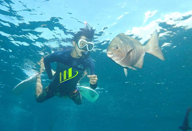 Snorkeling Adventure at the USAT Liberty Shipwreck in Tulamben, Bali