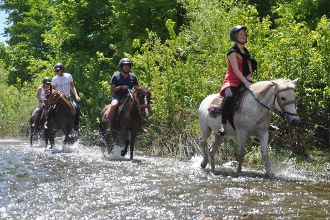 Kusadasi Horseback Riding Adventure: Tours from Port and Hotels