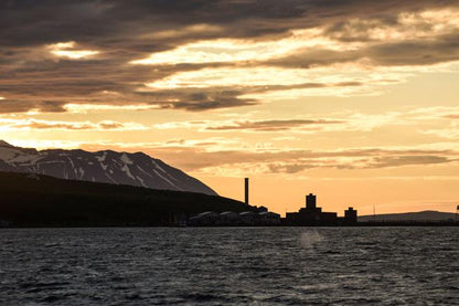 Midnight Sun Whale Watching Express in Akureyri