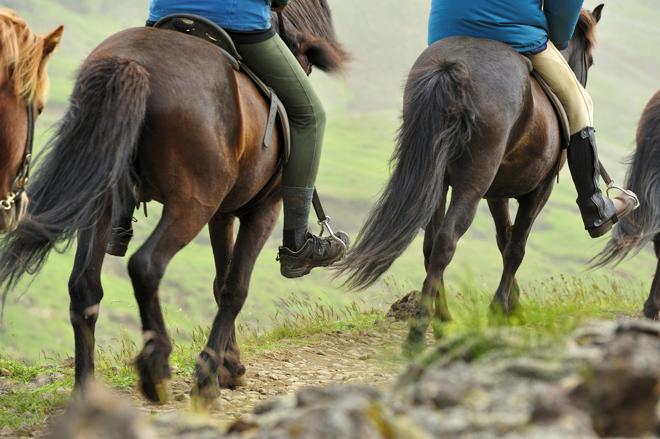 Golden Circle Tour with Icelandic Horse Riding Experience