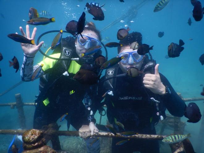 Nusa Dua Exclusive Diving Adventure: Private Bali Underwater Exploration