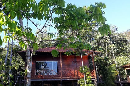 5-Day, 4-Night Amazon Jungle Adventure at Mamori Lodge