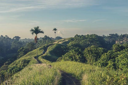 Campuhan Ridge Walk: Explore Rice Terraces, Volcanoes, and Water Temples