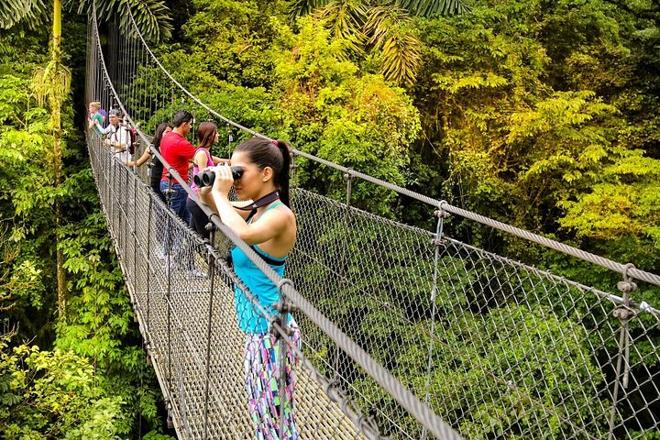 Arenal Volcano Adventure: Private Tour of Hanging Bridges and Baldi Hot Springs from San Jose