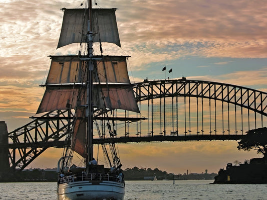 Afternoon Discovery Cruise From Sydney