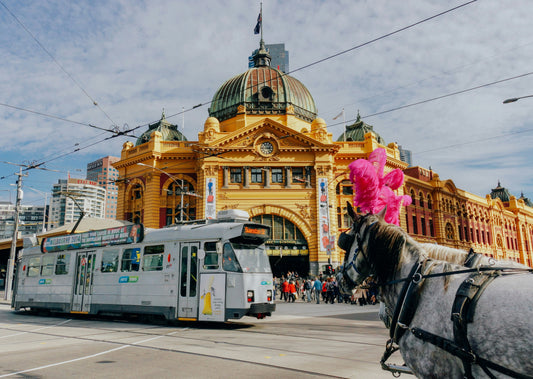 Southern Discovery Tour: Sydney, Canberra, Melbourne and the Coast