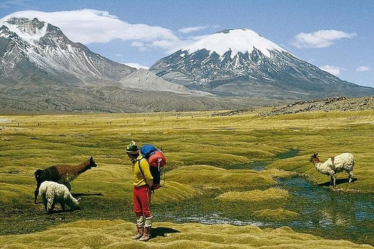 Chilean High Plateau 4-Day Adventure: Discover Incredible Landscapes