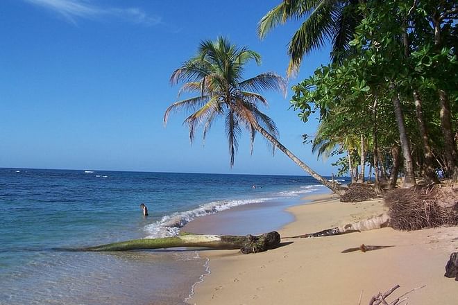 Coastal Adventure from Puerto Limon: Discovering Cahuita National Park and Banana Plantation