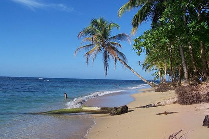 Coastal Adventure from Puerto Limon: Discovering Cahuita National Park and Banana Plantation