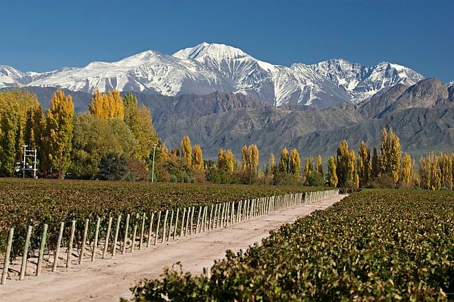 Andes and Mendoza Adventure: 4-Day Exploration Getaway