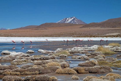 Six-Day Adventure: Exploring the Majestic Atacama and Uyuni Salt Flats