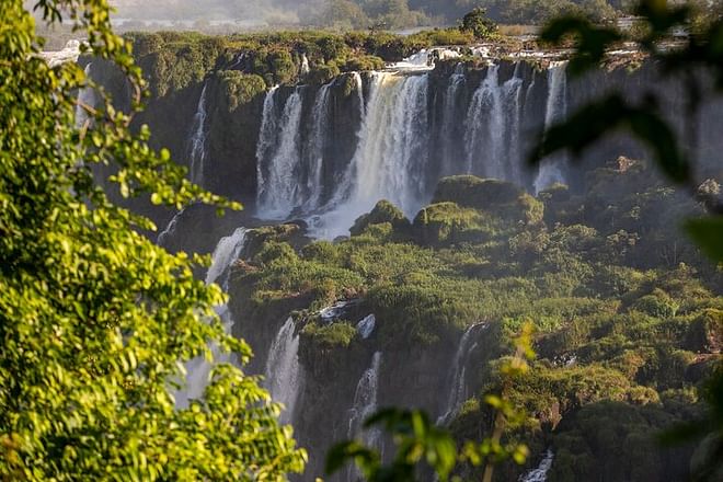 Discover Iguassu Falls: Brazilian Side Adventure with Exclusive Bird Park Tour and IGU Airport Transfer