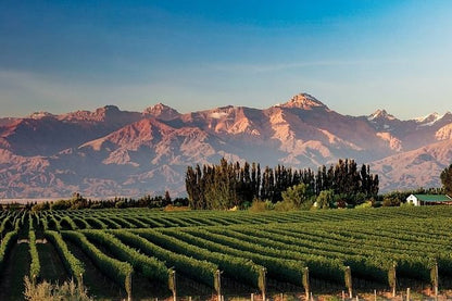 Discover the Charms of Mendoza and San Juan: A 6-Day Journey Through Scenic Landscapes and Historic Marvels