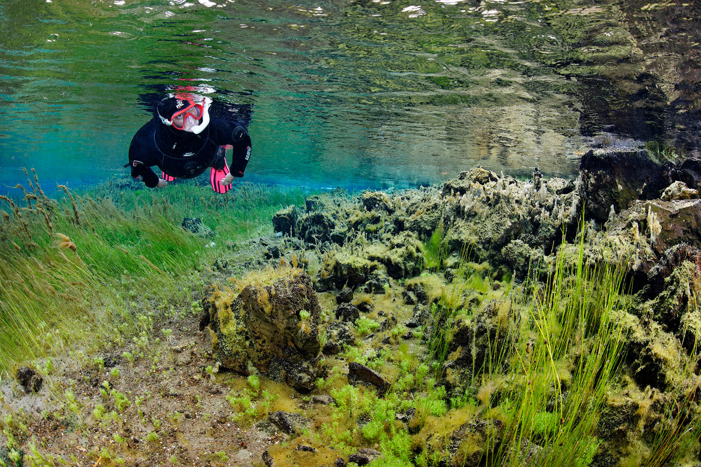 Snorkeling Adventure at Bubbling Sands