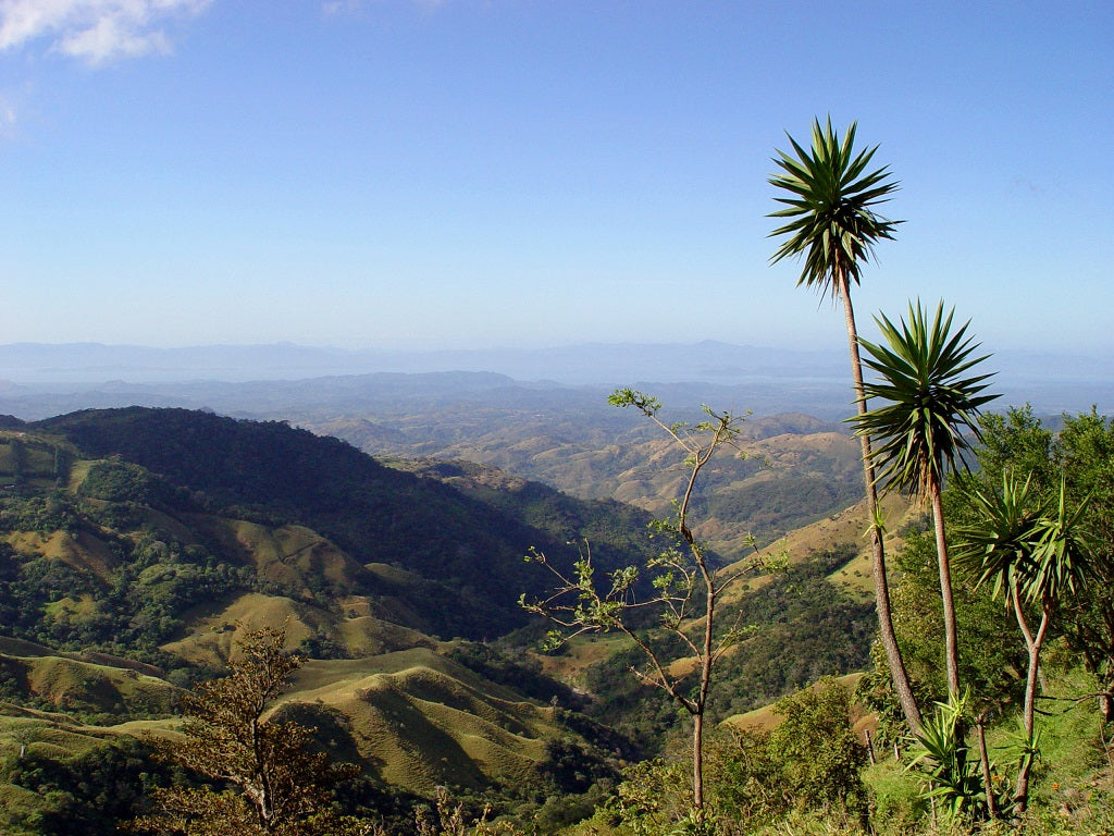 Essential Costa Rica Self-Drive Tour: Explore Manuel Antonio National Park and More