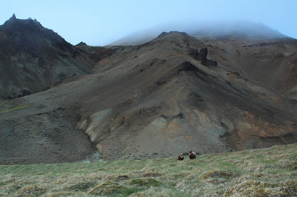 Explore the Enchanting Reykjanes Peninsula: A Journey to Iceland's Natural Wonders