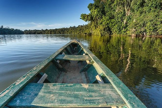 Tortuguero National Park 2-Day, 1-Night Getaway Package