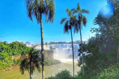 Exclusive Iguazu Falls Expedition: Discover the Argentine Side with Optional Boat Adventure