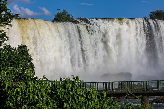 Iguassu Falls and Bird Park Adventure with Round-Trip Airport Transfer to IGU