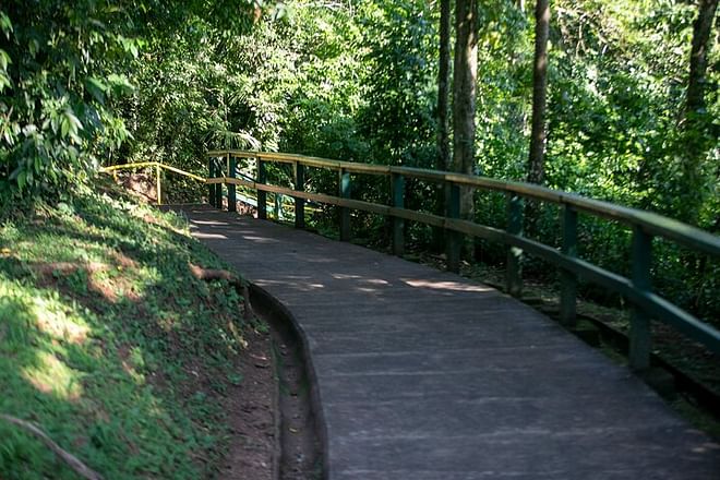 2-Day Exclusive Guided Tour in Foz do Iguaçu