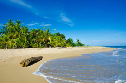 Costa Rica Essentials and Guanacaste Extension: 10-Day Supersaver Tour