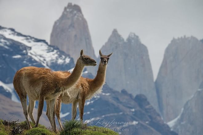 San Pedro de Atacama and Torres del Paine 8-Day Adventure Tour