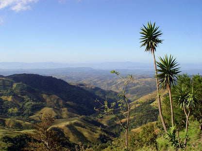 Discover Arenal and Monteverde: Unveil Costa Rica's Stunning Nature on a Short Adventure