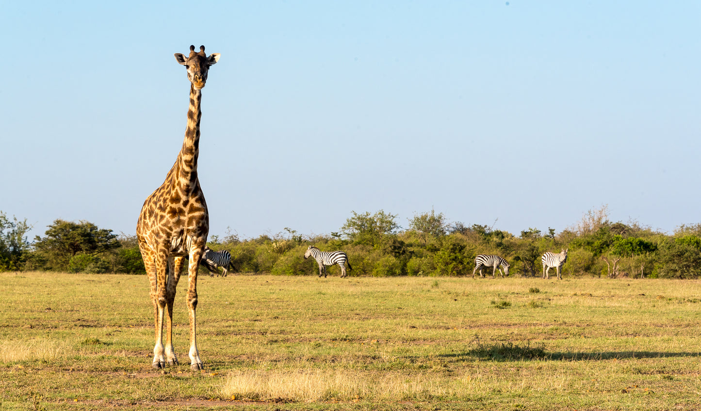 Maasai Mara Horseback Safari Experience