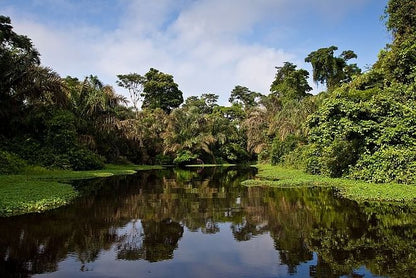 Tortuguero National Park 3-Day Exploration Package