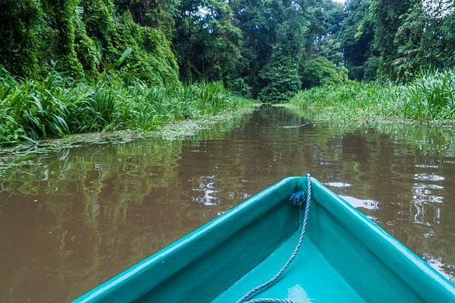 Tortuguero National Park 2-Day, 1-Night Getaway Package