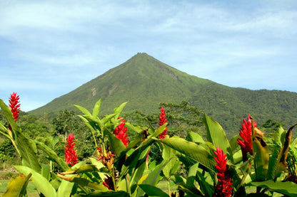 Explore the Best of Costa Rica: Unveiling the Marvels of Manuel Antonio National Park