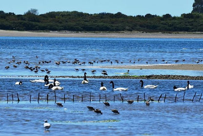 Discover the Majestic Beauty of Chile: A 4-Day Adventure in the Lake District and Puerto Varas