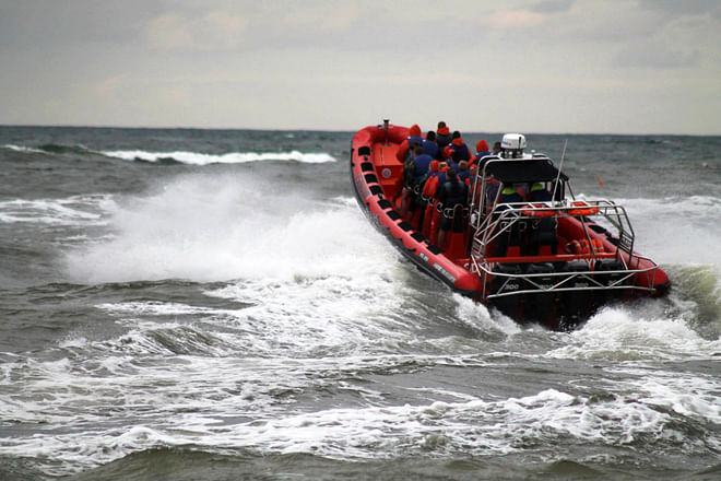 Reykjavik Bay Speedboat Excursion: The Ultimate Whale Watching Adventure in Iceland